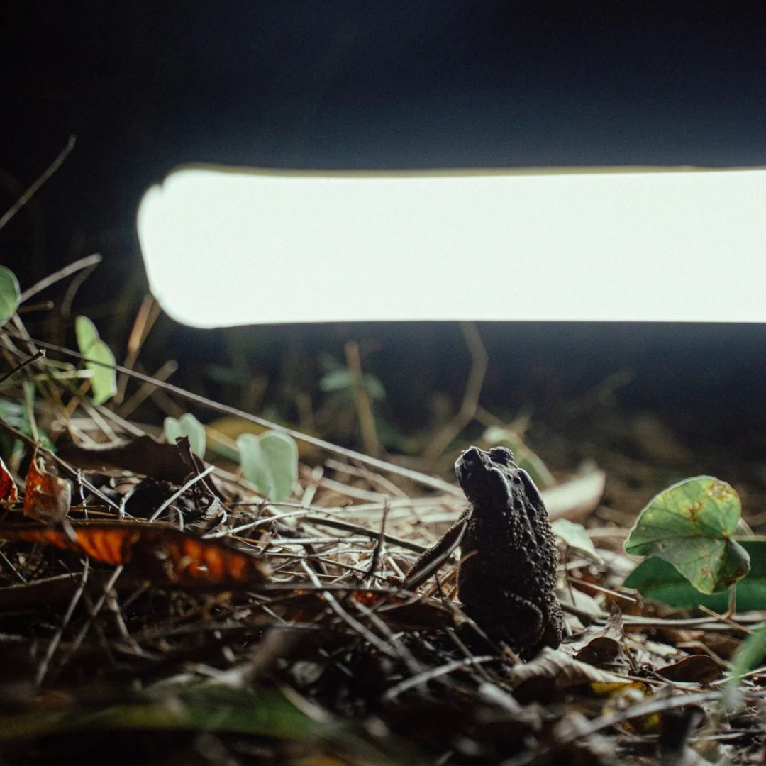 OxyGlo - Ultimativna vse-v-enem svetloba