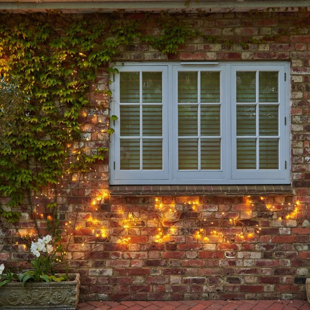 Garten-Efeu-Lichter