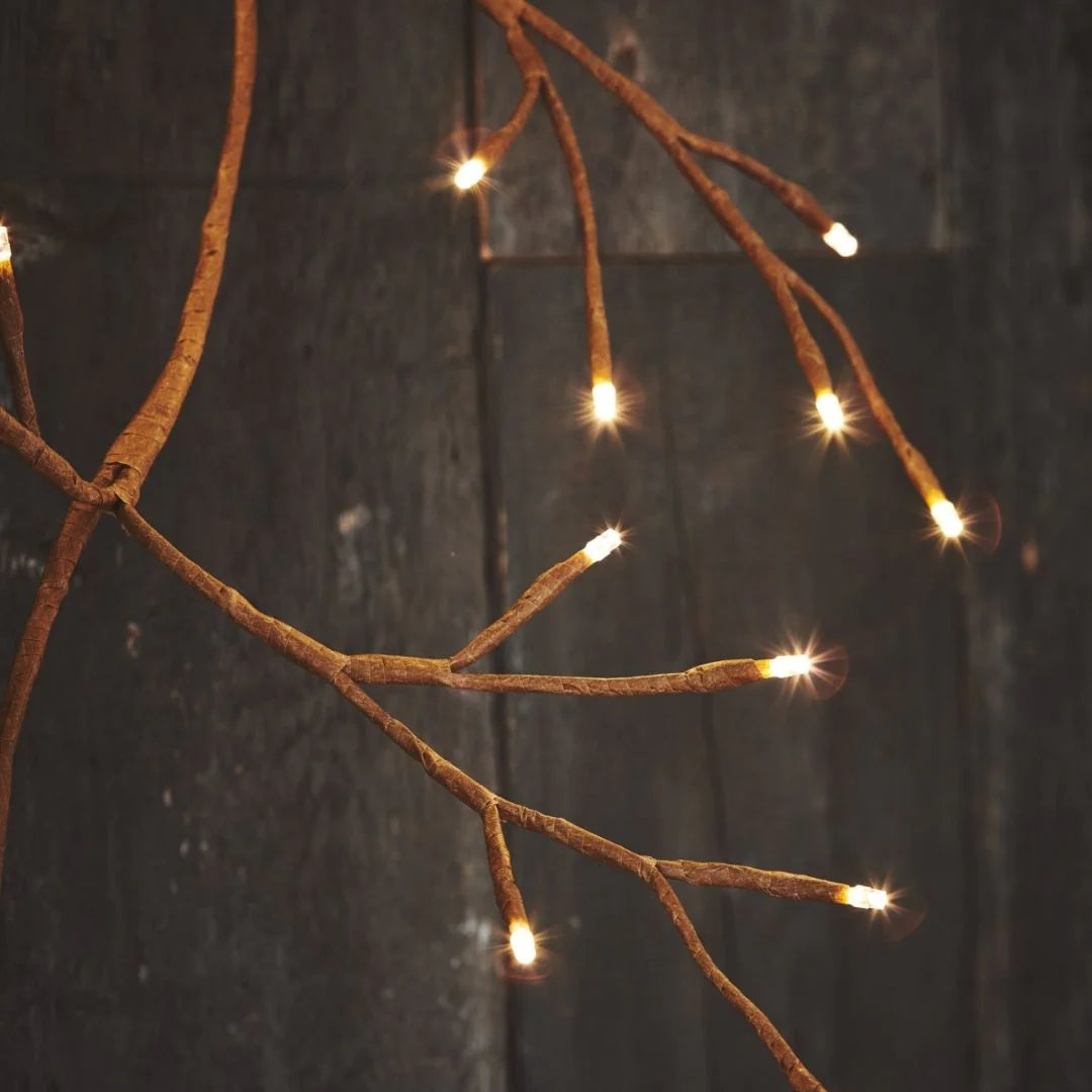 Garten-Efeu-Lichter