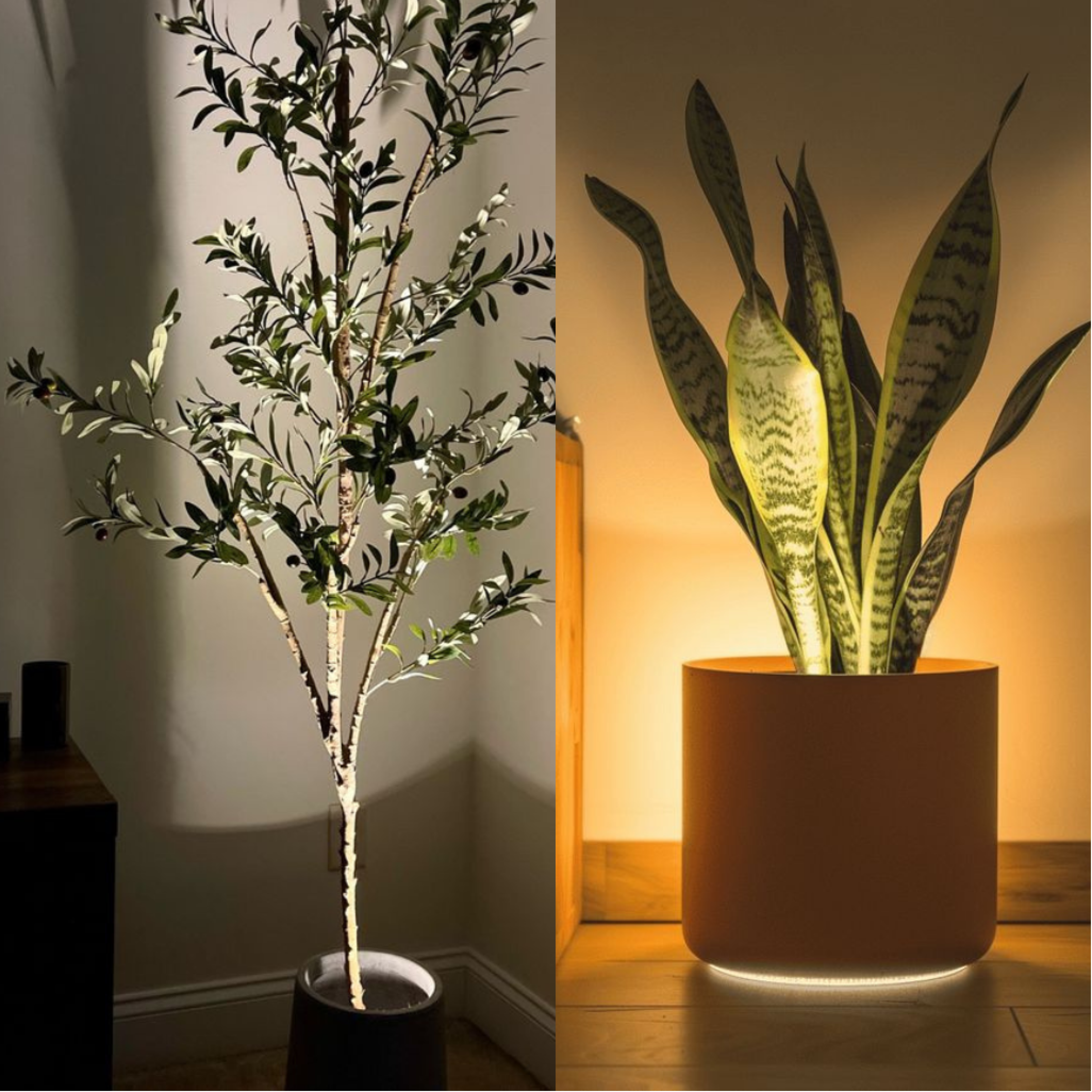 FloraGlow | Elegante Dimmbar Kabellose LED Pflanzenleuchte mit RGB-Farben 4