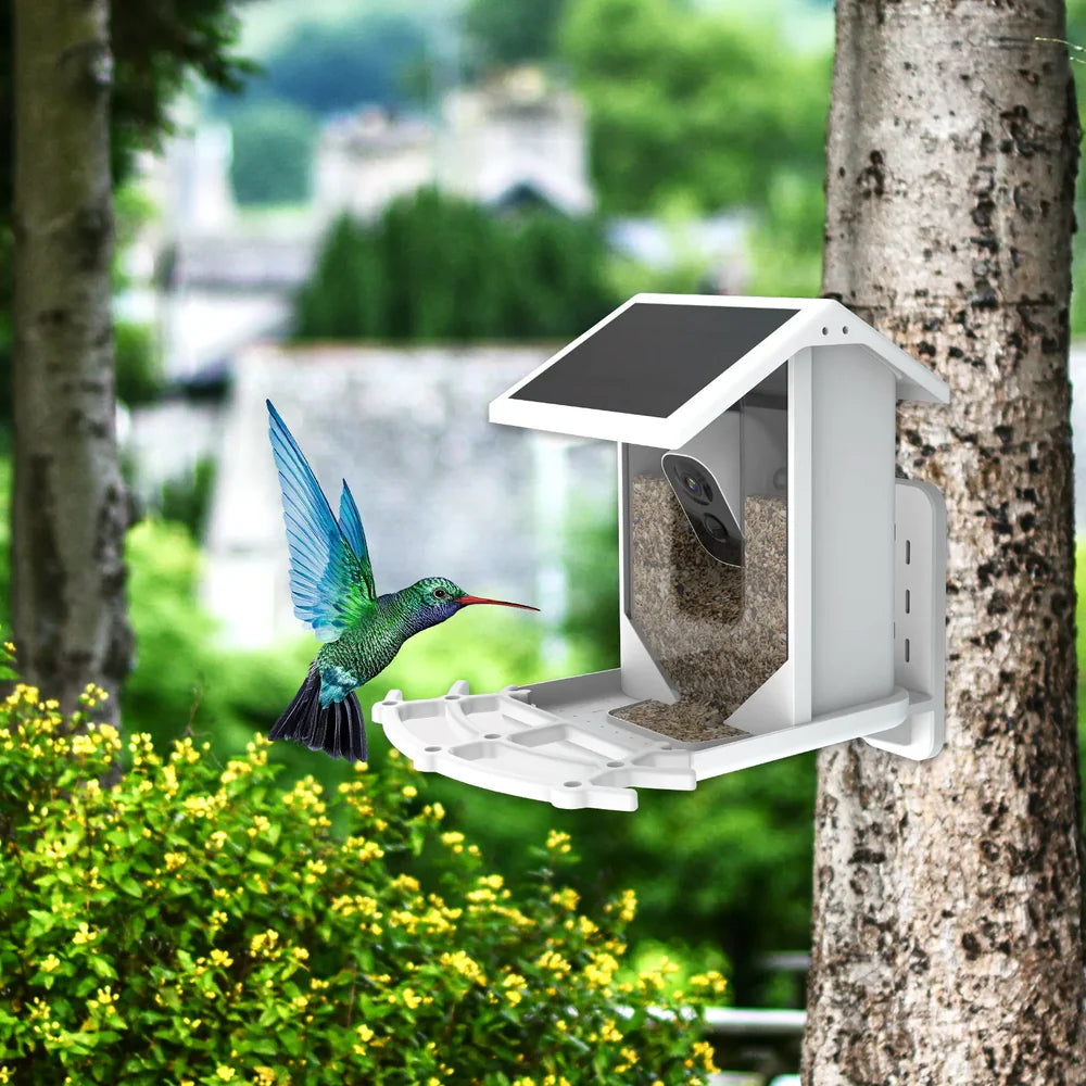 BirdView Solar Futterstation – Pametna kamera za opazovanje ptic