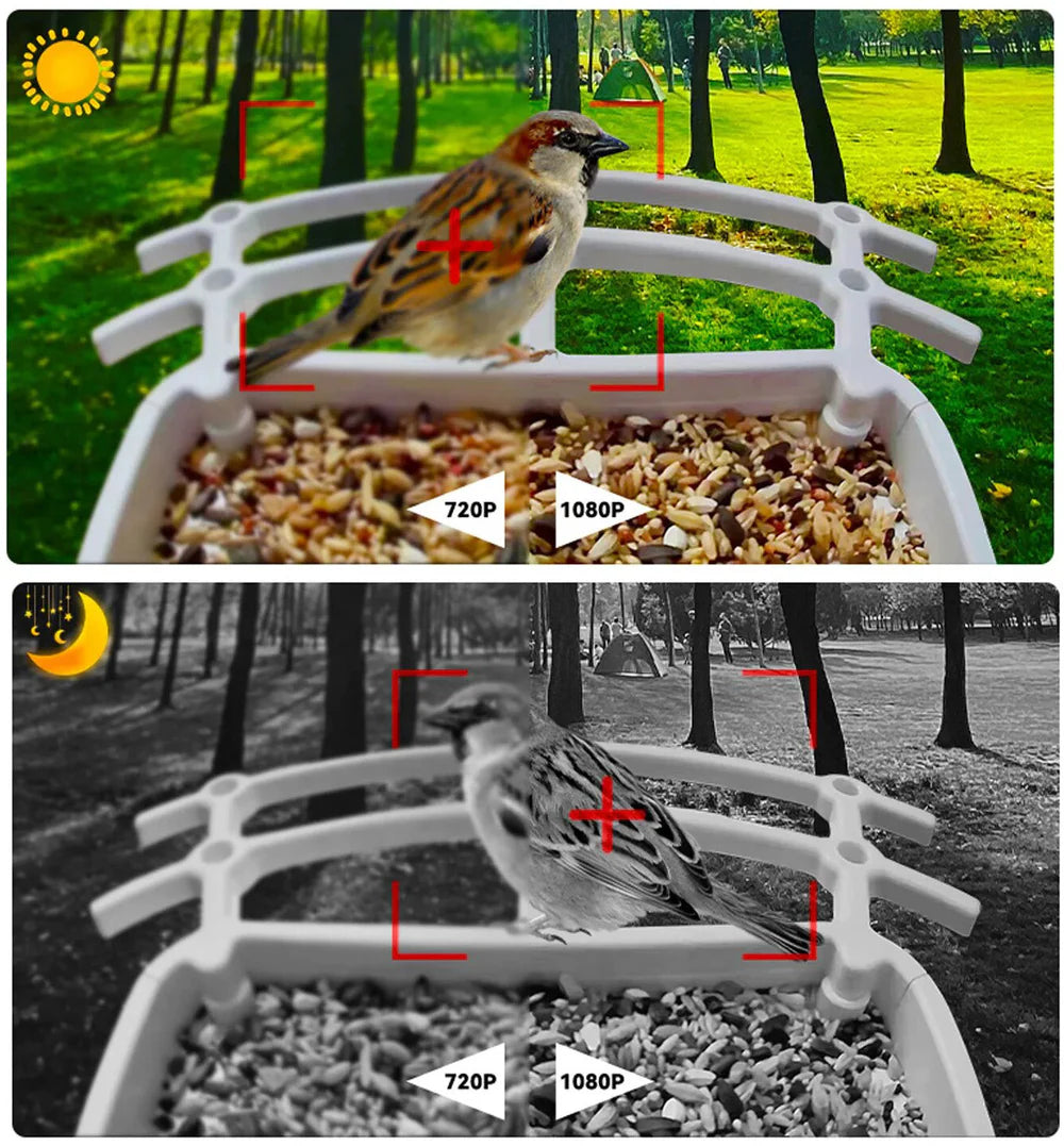 BirdView Solar Futterstation – Pametna kamera za opazovanje ptic