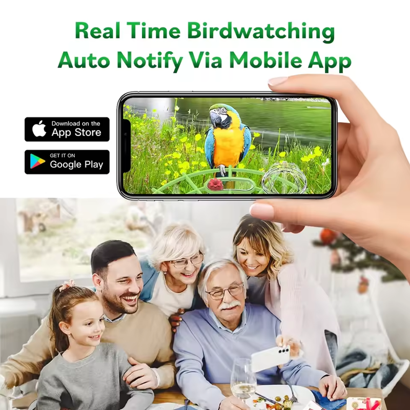 BirdView Solar Futterstation – Intelligente Vogelbeobachtungskamera